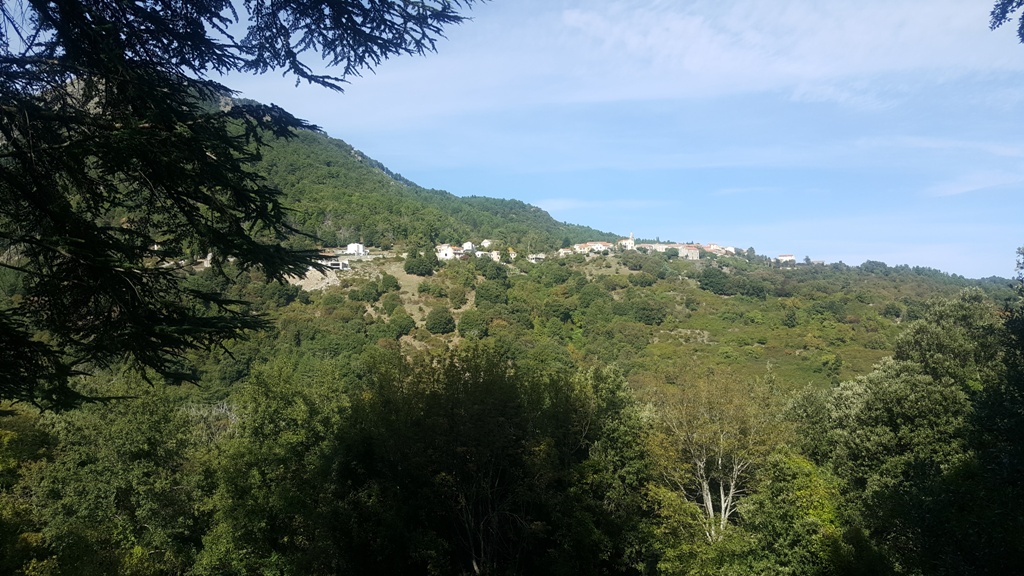 Le village de Vezzani
