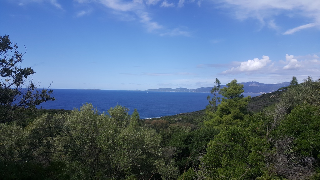 Au dessus de Verghia Le maquis au dessus de Verghia
