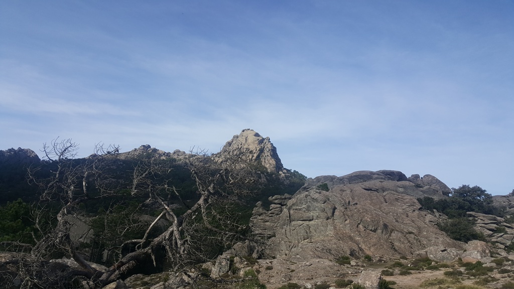 Les sommets de l'Alta Rocca en se rapprochant de Zonza Les sommets de l'Alta Rocca en se rapprochant de Zonza