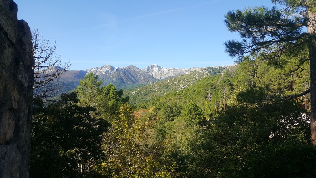Les sommets dejà enneigés au dessus de Ghisoni Les sommets dejà enneigés au dessus de Ghisoni